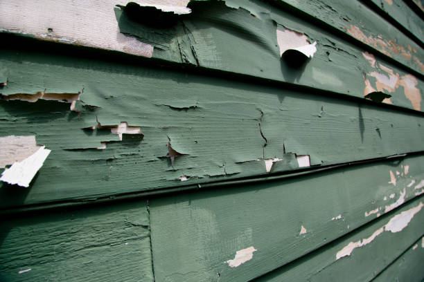 Best Same-Day Junk Removal Services  in West Rancho Dominguez, CA